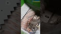 Einwellen-Zerkleinerer für effizientes Kunststoffrecycling #einwellenzerkleinerer#kunststoffzerkleinerung