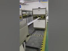 Fortschrittliche MBBR-Profilmaschine | Hocheffiziente Biofilm-Trägermaschinenherstellung